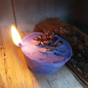 Pinecone Firelighters