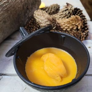 Wax warmer with Chilli Penguin melt with wood and pine cones in the background wax melters